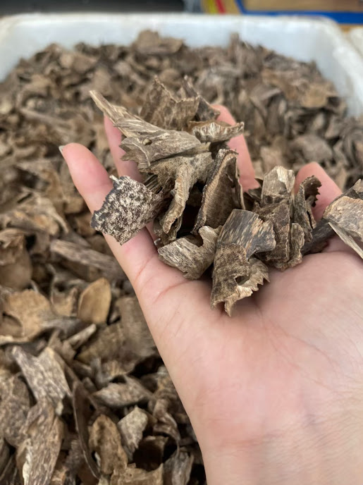 oud chip a20 4