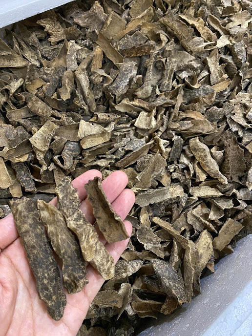 th oud vietnam mori 21