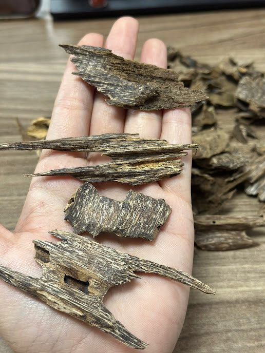 Ant Oud A50 – 100% Vietnamese Agarwood th oud vietnam oud chips ao50
