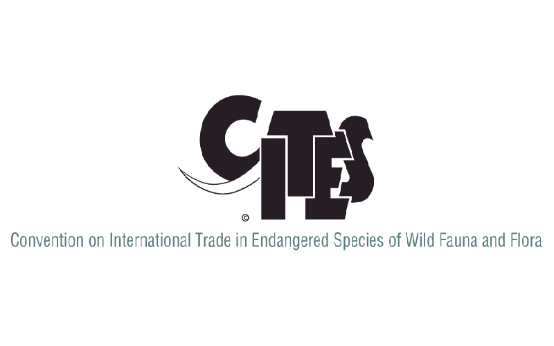 cites agarwood